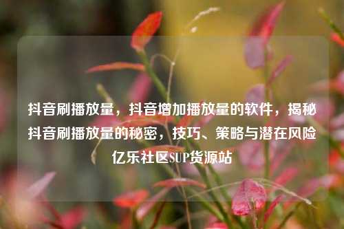抖音刷播放量，抖音增加播放量的软件	，揭秘抖音刷播放量的秘密，技巧、策略与潜在风险亿乐社区SUP货源站  第1张