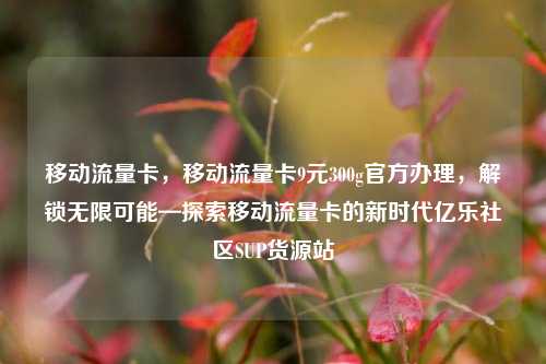 移动流量卡	，移动流量卡9元300g官方办理，解锁无限可能—探索移动流量卡的新时代亿乐社区SUP货源站  第1张