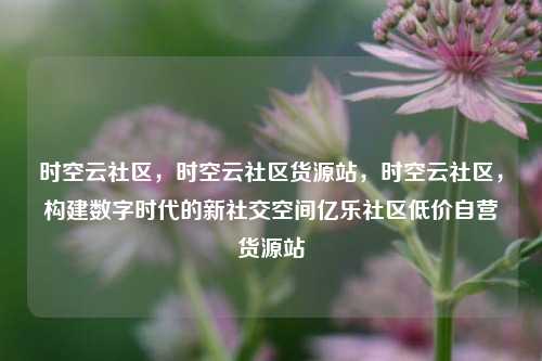 时空云社区	，时空云社区货源站，时空云社区，构建数字时代的新社交空间亿乐社区低价自营货源站  第1张