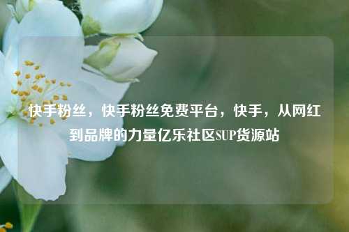 快手粉丝	，快手粉丝免费平台，快手，从网红到品牌的力量亿乐社区SUP货源站  第1张