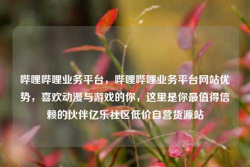 哔哩哔哩业务平台，哔哩哔哩业务平台网站优势，喜欢动漫与游戏的你	，这里是你最值得信赖的伙伴亿乐社区低价自营货源站  第1张