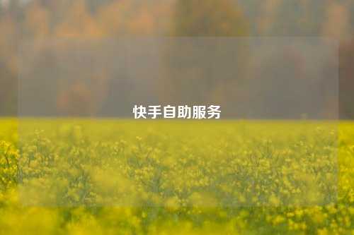 快手自助服务  第1张
