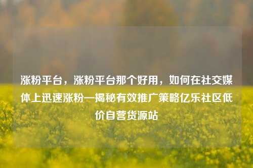涨粉平台，涨粉平台那个好用，如何在社交媒体上迅速涨粉—揭秘有效推广策略亿乐社区低价自营货源站  第1张