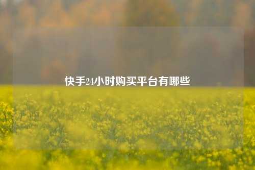 快手24小时购买平台有哪些  第1张