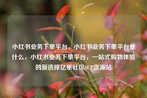 小红书业务下单平台，小红书业务下单平台是什么，小红书业务下单平台	，一站式购物体验的新选择亿乐社区SUP货源站  第1张
