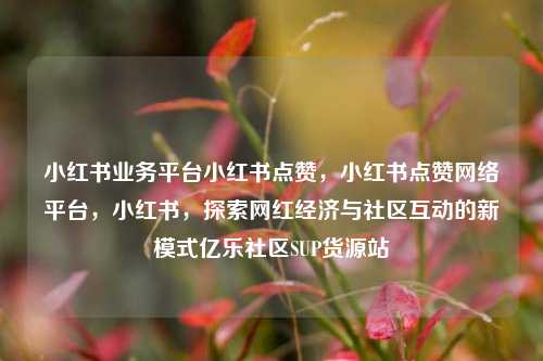 小红书业务平台小红书点赞	，小红书点赞网络平台，小红书，探索网红经济与社区互动的新模式亿乐社区SUP货源站  第1张