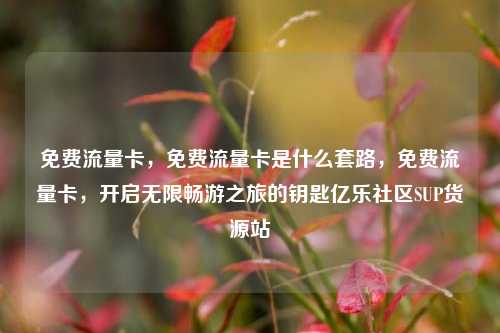 免费流量卡	，免费流量卡是什么套路，免费流量卡，开启无限畅游之旅的钥匙亿乐社区SUP货源站  第1张