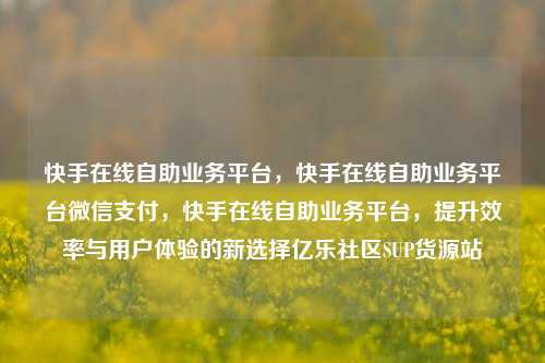 快手在线自助业务平台，快手在线自助业务平台微信支付	，快手在线自助业务平台，提升效率与用户体验的新选择亿乐社区SUP货源站  第1张