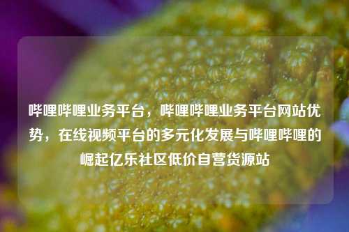 哔哩哔哩业务平台	，哔哩哔哩业务平台网站优势，在线视频平台的多元化发展与哔哩哔哩的崛起亿乐社区低价自营货源站  第1张