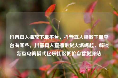 抖音真人播放下单平台，抖音真人播放下单平台有哪些，抖音真人直播带货火爆崛起	，解锁新型电商模式亿乐社区低价自营货源站  第1张