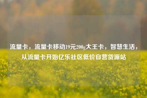 流量卡	，流量卡移动19元200g大王卡，智慧生活，从流量卡开始亿乐社区低价自营货源站  第1张
