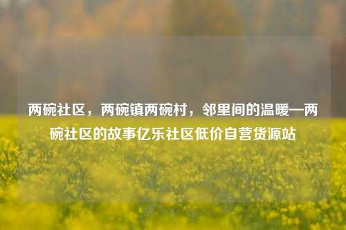 两碗社区，两碗镇两碗村，邻里间的温暖—两碗社区的故事亿乐社区低价自营货源站  第1张