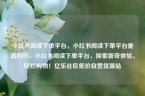 小红书阅读下单平台，小红书阅读下单平台是真的吗，小红书阅读下单平台	，探索新奇体验，轻松购物！亿乐社区低价自营货源站  第1张
