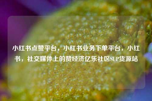 小红书点赞平台，小红书业务下单平台	，小红书，社交媒体上的赞经济亿乐社区SUP货源站  第1张