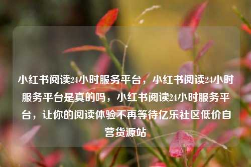 小红书阅读24小时服务平台，小红书阅读24小时服务平台是真的吗，小红书阅读24小时服务平台	，让你的阅读体验不再等待亿乐社区低价自营货源站  第1张