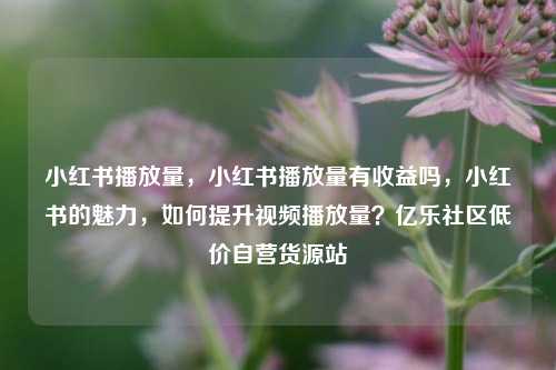 小红书播放量，小红书播放量有收益吗，小红书的魅力	，如何提升视频播放量？亿乐社区低价自营货源站  第1张