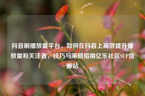 抖音刷播放量平台	，如何在抖音上高效提升播放量和关注者，技巧与策略指南亿乐社区SUP货源站  第1张