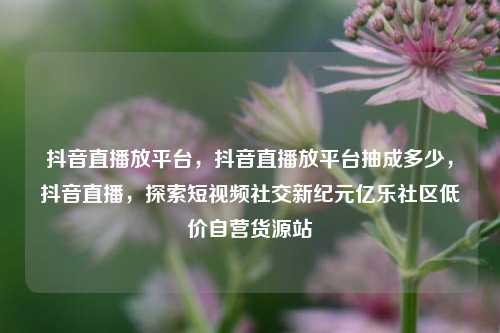 抖音直播放平台	，抖音直播放平台抽成多少，抖音直播，探索短视频社交新纪元亿乐社区低价自营货源站  第1张