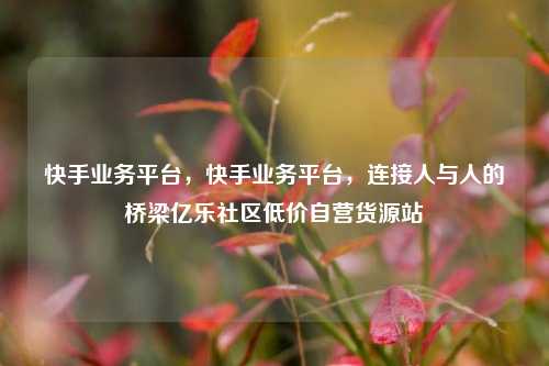 快手业务平台，快手业务平台，连接人与人的桥梁亿乐社区低价自营货源站  第1张
