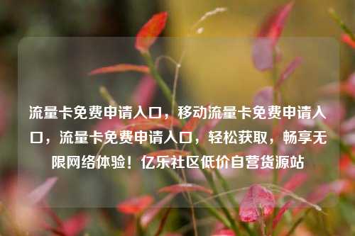 流量卡免费申请入口，移动流量卡免费申请入口	，流量卡免费申请入口，轻松获取，畅享无限网络体验！亿乐社区低价自营货源站  第1张