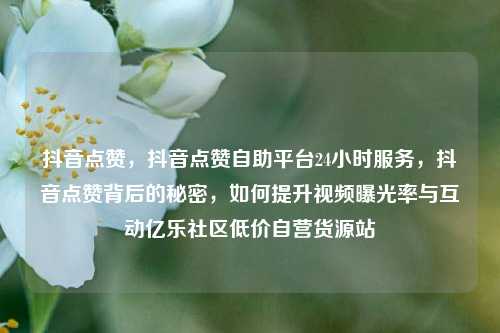 抖音点赞，抖音点赞自助平台24小时服务	，抖音点赞背后的秘密，如何提升视频曝光率与互动亿乐社区低价自营货源站  第1张