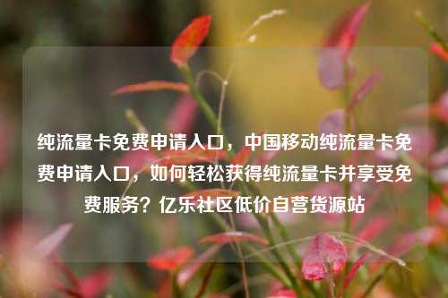 纯流量卡免费申请入口，中国移动纯流量卡免费申请入口	，如何轻松获得纯流量卡并享受免费服务？亿乐社区低价自营货源站  第1张