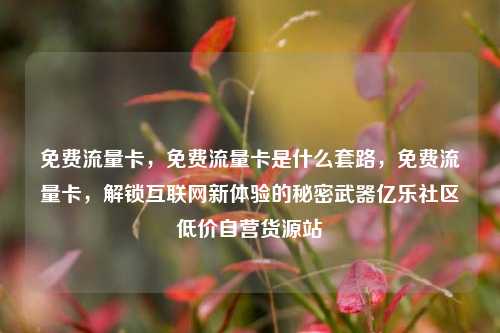 免费流量卡，免费流量卡是什么套路	，免费流量卡，解锁互联网新体验的秘密武器亿乐社区低价自营货源站  第1张