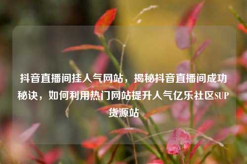 抖音直播间挂人气网站，揭秘抖音直播间成功秘诀	，如何利用热门网站提升人气亿乐社区SUP货源站  第1张