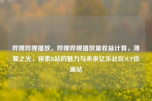 哔哩哔哩播放，哔哩哔哩播放量收益计算，薄暮之光	，探索B站的魅力与未来亿乐社区SUP货源站  第1张