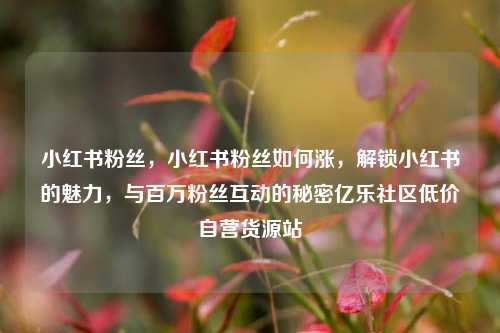 小红书粉丝	，小红书粉丝如何涨，解锁小红书的魅力，与百万粉丝互动的秘密亿乐社区低价自营货源站  第1张
