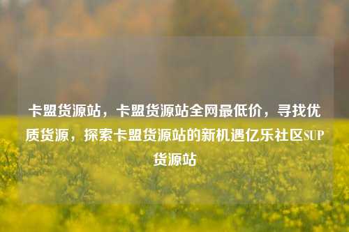 卡盟货源站，卡盟货源站全网最低价，寻找优质货源	，探索卡盟货源站的新机遇亿乐社区SUP货源站  第1张