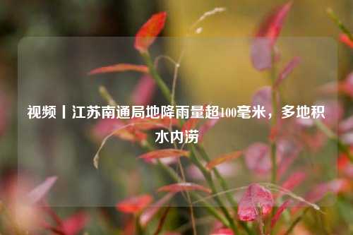 视频丨江苏南通局地降雨量超100毫米，多地积水内涝  第1张