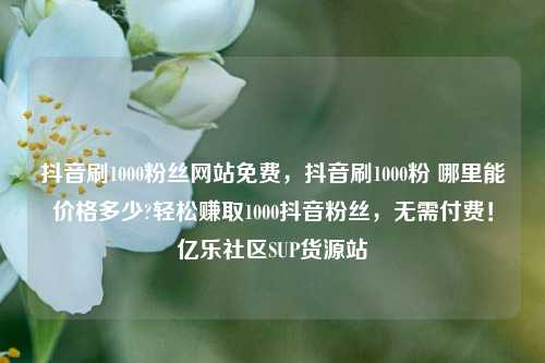 抖音刷1000粉丝网站免费，抖音刷1000粉 哪里能价格多少?轻松赚取1000抖音粉丝，无需付费！亿乐社区SUP货源站  第1张