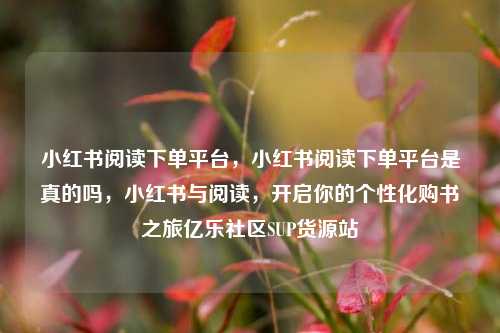 小红书阅读下单平台，小红书阅读下单平台是真的吗	，小红书与阅读，开启你的个性化购书之旅亿乐社区SUP货源站  第1张