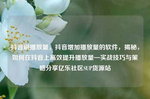 抖音刷播放量	，抖音增加播放量的软件，揭秘，如何在抖音上高效提升播放量—实战技巧与策略分享亿乐社区SUP货源站  第1张