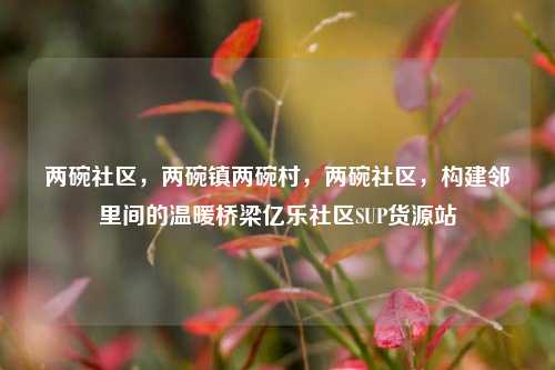 两碗社区	，两碗镇两碗村，两碗社区，构建邻里间的温暖桥梁亿乐社区SUP货源站  第1张