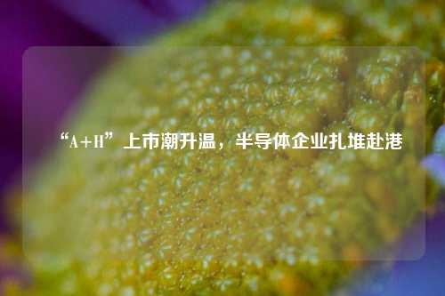 “A+H”上市潮升温，半导体企业扎堆赴港  第1张