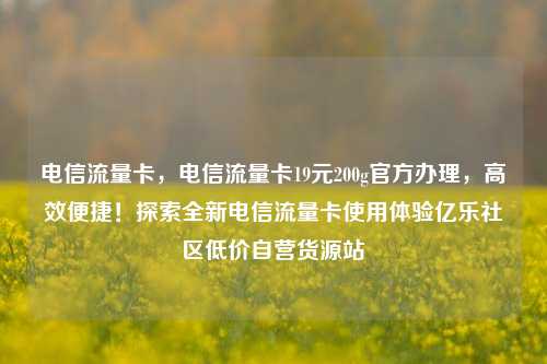 电信流量卡，电信流量卡19元200g官方办理，高效便捷！探索全新电信流量卡使用体验亿乐社区低价自营货源站  第1张