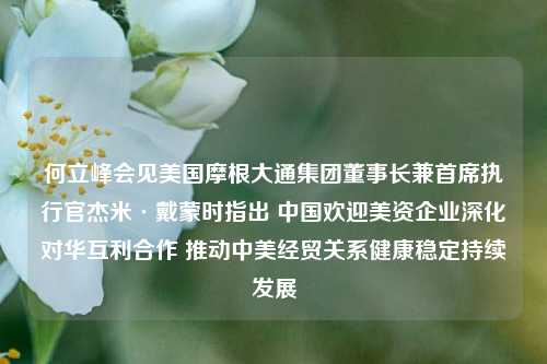 何立峰会见美国摩根大通集团董事长兼首席执行官杰米·戴蒙时指出 中国欢迎美资企业深化对华互利合作 推动中美经贸关系健康稳定持续发展  第1张