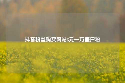 抖音粉丝购买网站3元一万僵尸粉  第1张