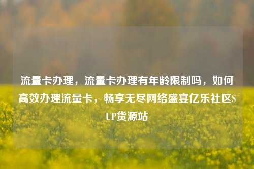 流量卡办理，流量卡办理有年龄限制吗	，如何高效办理流量卡，畅享无尽网络盛宴亿乐社区SUP货源站  第1张