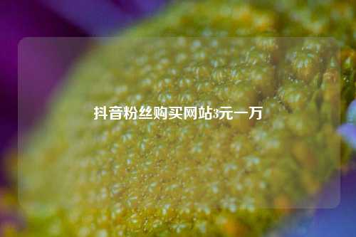 抖音粉丝购买网站3元一万  第1张