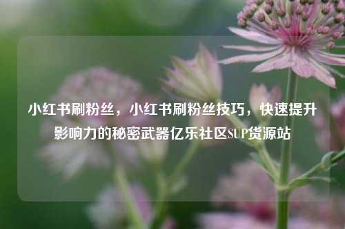 小红书刷粉丝，小红书刷粉丝技巧	，快速提升影响力的秘密武器亿乐社区SUP货源站  第1张