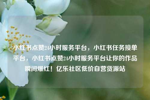 小红书点赞24小时服务平台	，小红书任务接单平台，小红书点赞24小时服务平台让你的作品瞬间爆红！亿乐社区低价自营货源站  第1张