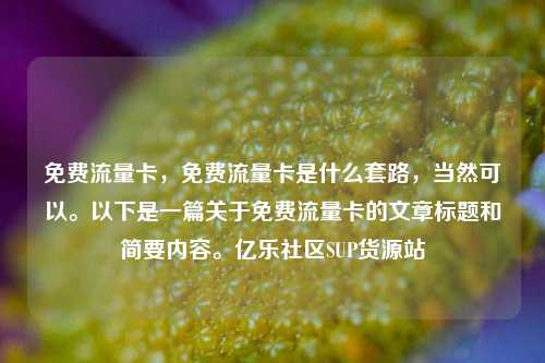 免费流量卡，免费流量卡是什么套路，当然可以。以下是一篇关于免费流量卡的文章标题和简要内容。亿乐社区SUP货源站  第1张