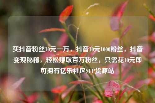 买抖音粉丝10元一万，抖音10元1000粉丝	，抖音变现秘籍，轻松赚取百万粉丝，只需花10元即可拥有亿乐社区SUP货源站  第1张