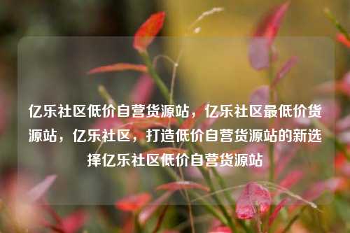 亿乐社区低价自营货源站，亿乐社区最低价货源站，亿乐社区	，打造低价自营货源站的新选择亿乐社区低价自营货源站  第1张