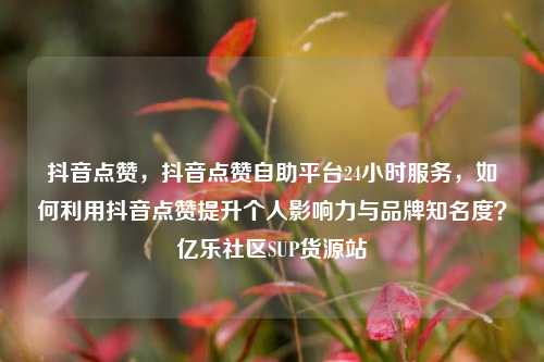 抖音点赞，抖音点赞自助平台24小时服务	，如何利用抖音点赞提升个人影响力与品牌知名度？亿乐社区SUP货源站  第1张