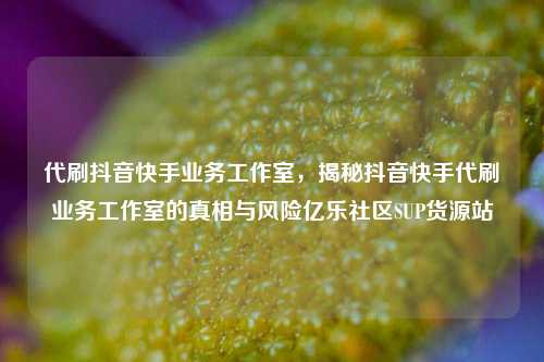 代刷抖音快手业务工作室，揭秘抖音快手代刷业务工作室的真相与风险亿乐社区SUP货源站  第1张