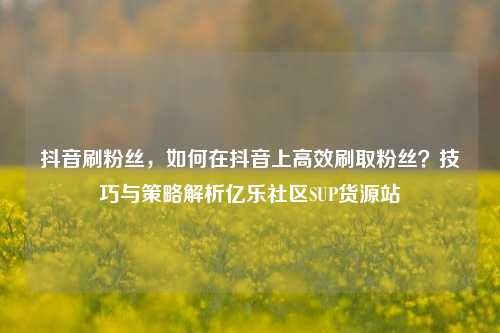 抖音刷粉丝	，如何在抖音上高效刷取粉丝？技巧与策略解析亿乐社区SUP货源站  第1张